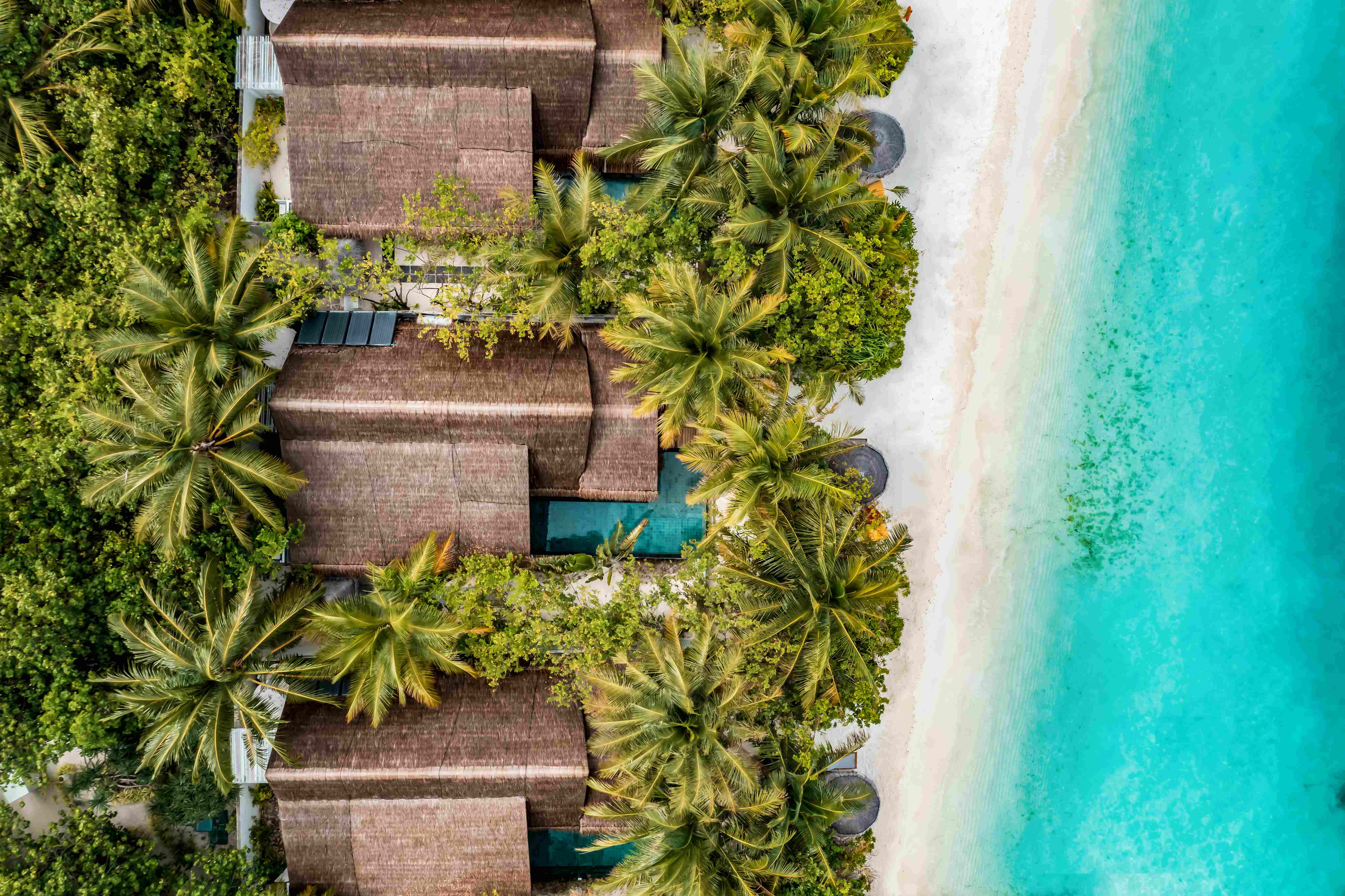 Ozen Life Maadhoo Reimagines the Maldives Through the Art of Slow Luxury